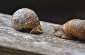 性被害の相談を匿名で行うにはどうすればいい？