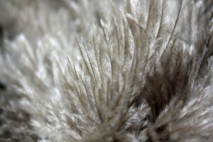 落ち込みやすい気持ちを相談するためのLINEの使い方は？