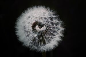 死にたいと感じるあなたが匿名で相談できる場所はどこですか？