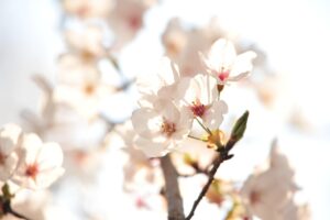 LINE占いでの復縁相談が当たる確率はどれくらい？