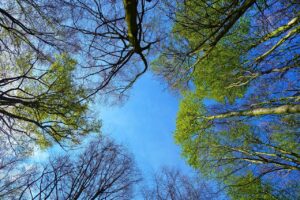 次に会えるのはいつごろ？の予測と計画方法は？