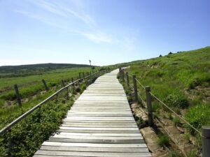 無理に仲良くする必要はある？その理由と解決策は？