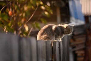 隣人とどう接すればうまくいくためのポイントは？