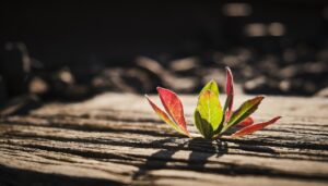 人生の課題に気づくヒントがほしい時に試すべき方法は？