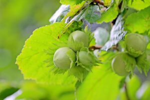 自分だけが我慢していない？その真実と解決策とは？