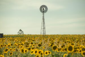 女性が誰にも言えない悩みを解決するためのヒントは？