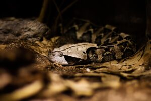 悩み相談の危険性とは？知っておくべきポイントは？